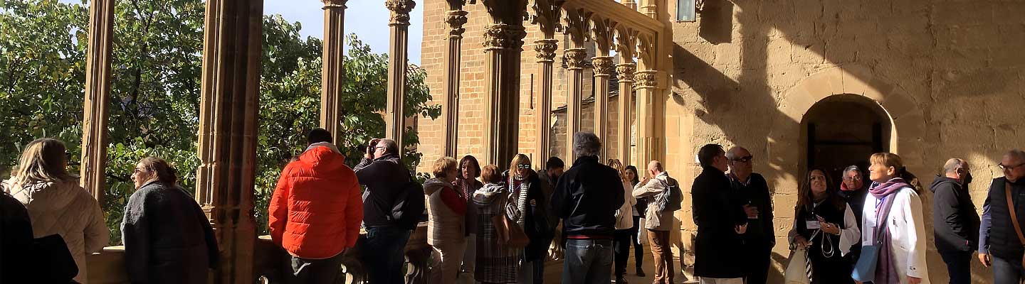 Visita Guiada Palacio Real - Castillo de Olite_uno de los edificios civiles góticos más importante de Europa