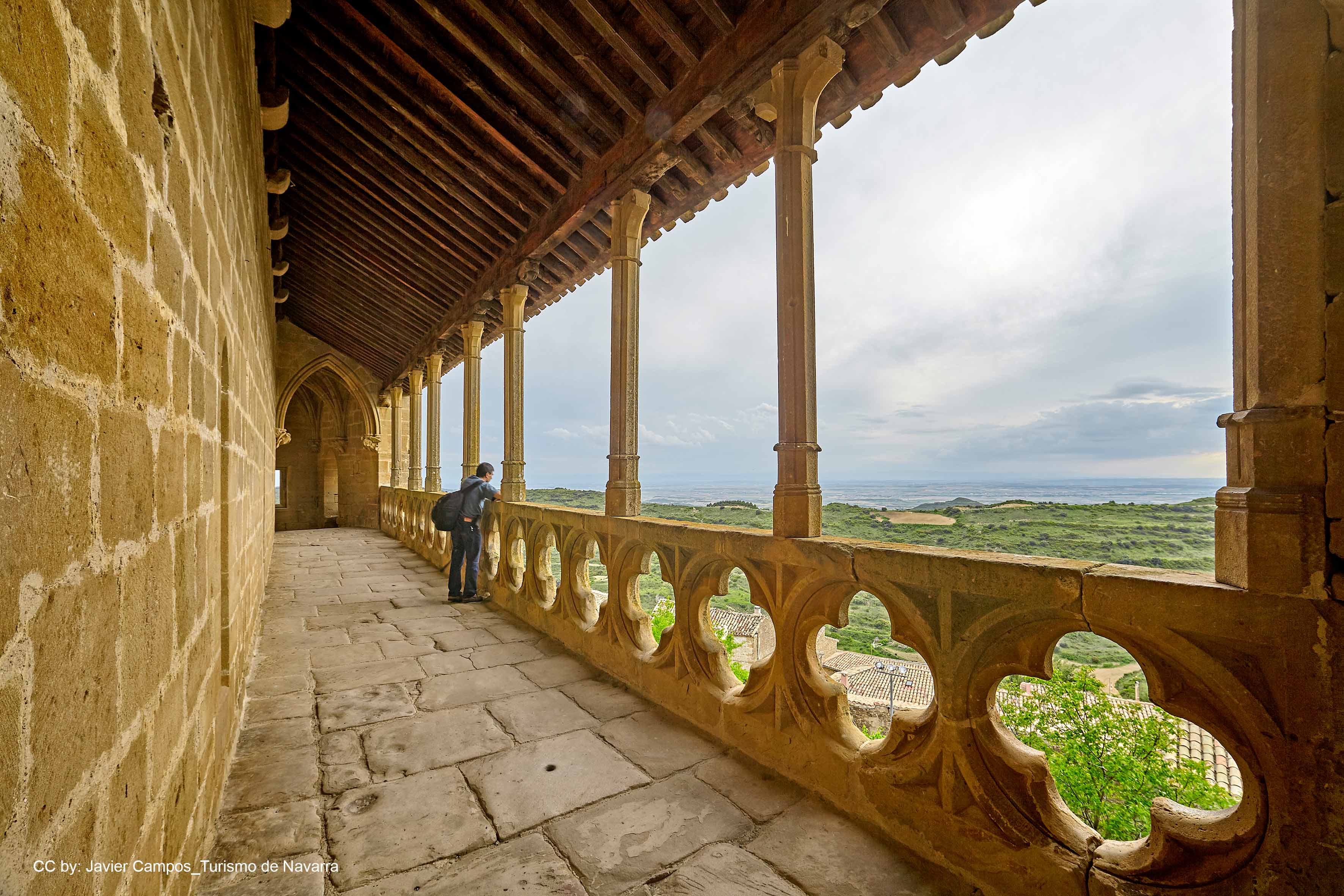 Visita Palacio Real - Castillo de Olite – Experiencias